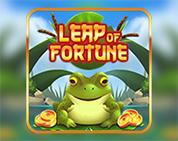 Leap of Fortune